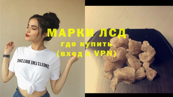 ГАЛЛЮЦИНОГЕННЫЕ ГРИБЫ Горняк