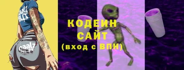 ГАЛЛЮЦИНОГЕННЫЕ ГРИБЫ Горняк