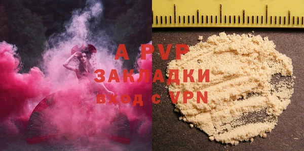 ГАЛЛЮЦИНОГЕННЫЕ ГРИБЫ Горняк