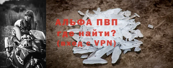 ГАЛЛЮЦИНОГЕННЫЕ ГРИБЫ Горняк