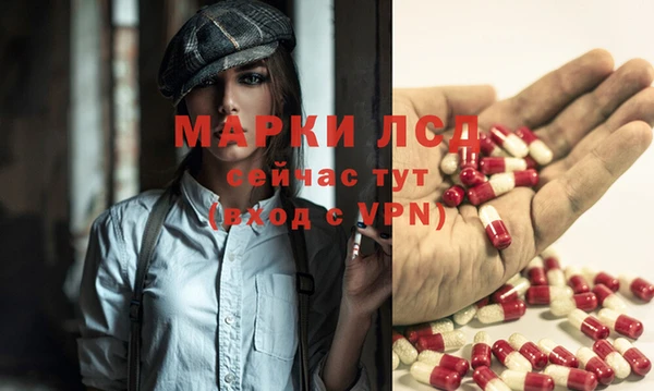 ГАЛЛЮЦИНОГЕННЫЕ ГРИБЫ Горняк