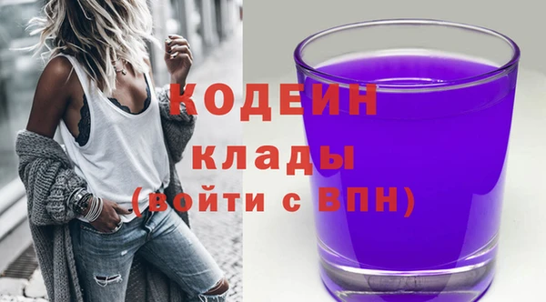 МДПВ Нефтегорск