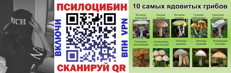Псилоцибиновые грибы мицелий Новохопёрск
